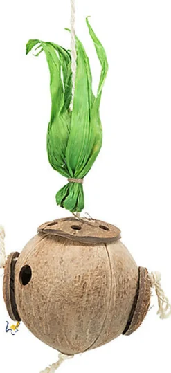 Trixie - Noix de coco sur corde en sisal - 35 cm