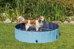 Trixie - Piscine Bleu pour Chien