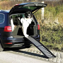 Trixie - Rampe Pliante en Plastique/TPR Noir/Gris - 39 x 160 cm