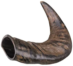 Trixie - Véritable Corne de Buffle à Mâcher - Medium