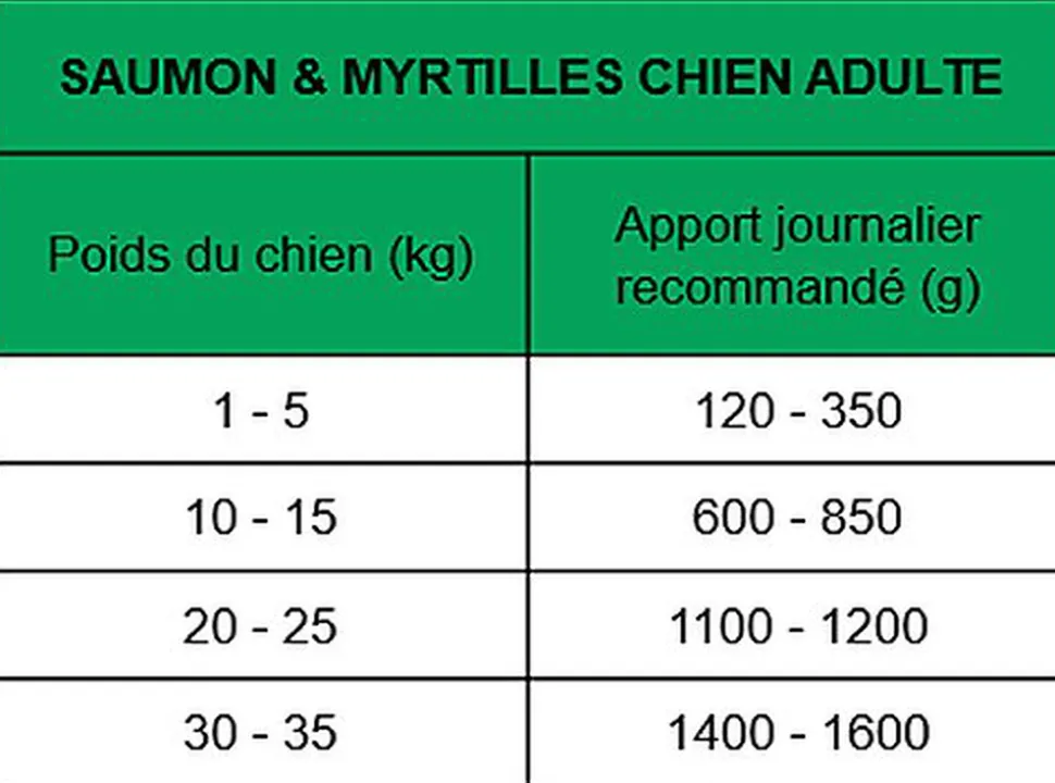 True Origins Wild - Pâtée au Saumon & Myrtilles pour Chiens Adultes - 400G