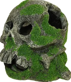 Tyrol - Décorations Pirates et Têtes de Mort pour Aquarium - 12cm