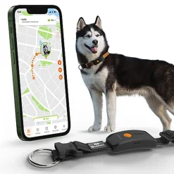 Weenect - Collier GPS XT Chiens