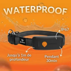 Weenect - Collier GPS XT Chiens