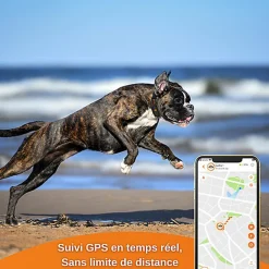Weenect - Traceur GPS XS pour Chiens