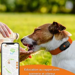 Weenect - Traceur GPS XS pour Chiens