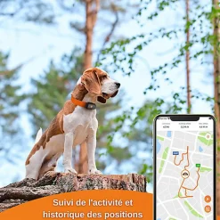 Weenect - Traceur GPS XS pour Chiens