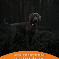 Weenect - Traceur GPS XS pour Chiens