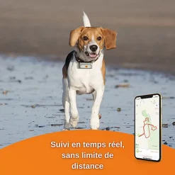 Weenect Dogs 2 - Collier GPS Connecté pour Chien