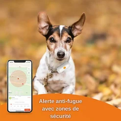 Weenect Dogs 2 - Collier GPS Connecté pour Chien