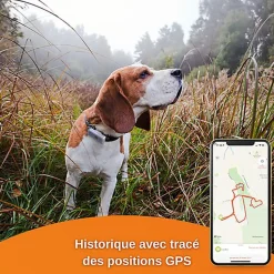 Weenect Dogs 2 - Collier GPS Connecté pour Chien