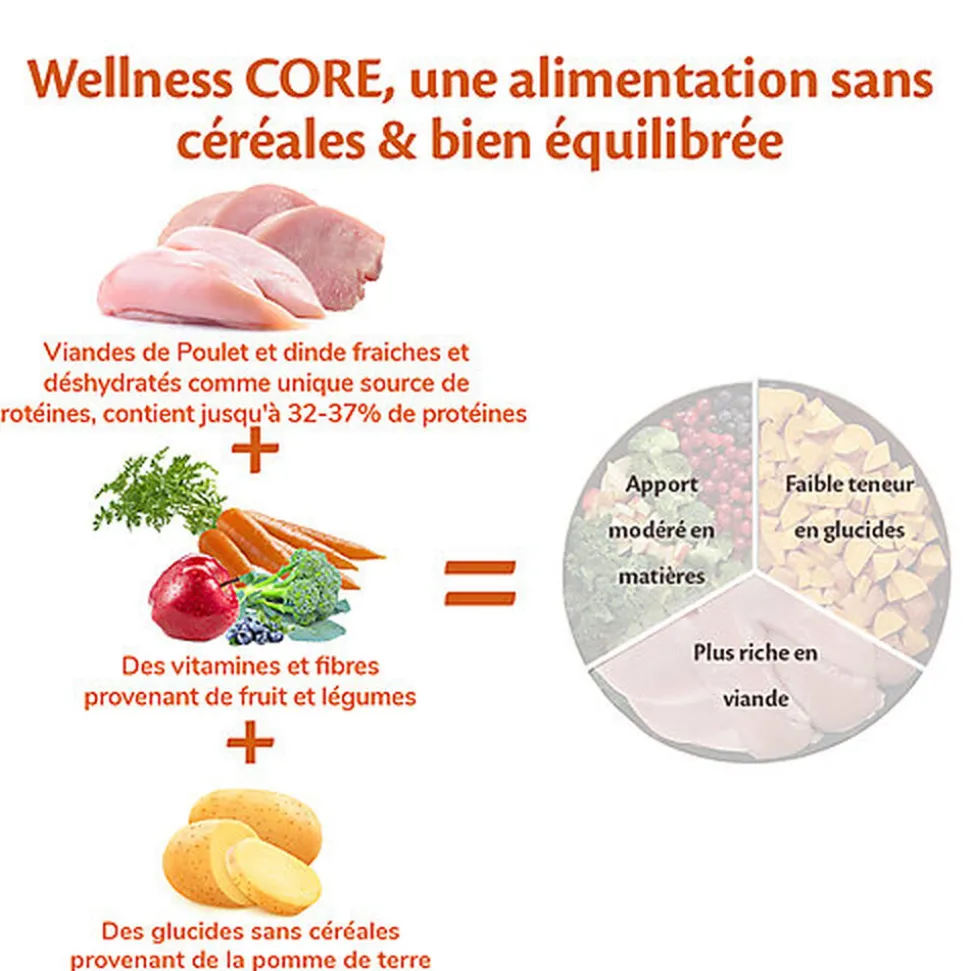 Wellness CORE - Croquettes Original Dinde et Poulet pour Chien de Petie race