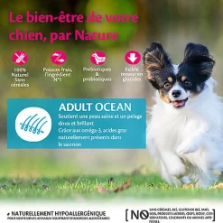Wellness CORE - Croquettes Océan au Saumon pour Chien de Petie race