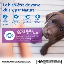 Wellness CORE - Croquettes Puppy Poulet pour Chiot Grande Race - 10Kg