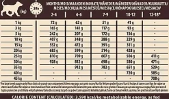 Wellness CORE - Croquettes Puppy Poulet pour Chiot Grande Race - 10Kg