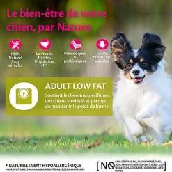 Wellness CORE - Croquettes Light Poulet et Dinde pour Chien de Petie race