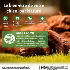 Wellness CORE - Croquettes à l'Agneau pour Chien de Toutes Races - 1,8Kg