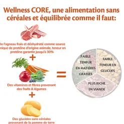 Wellness CORE - Croquettes à l'Agneau pour Chien de Toutes Races - 1,8Kg