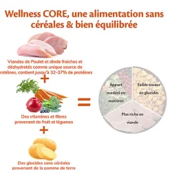Wellness CORE - Croquettes Puppy Dinde et Poulet pour Chiot