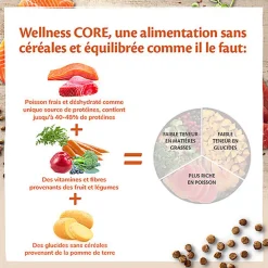 Wellness CORE - Croquettes Océan Saumon et Thon pour Chat