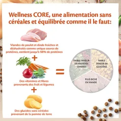 Wellness CORE - Croquettes Kitten Dinde et Poulet pour Chaton - 1,75Kg