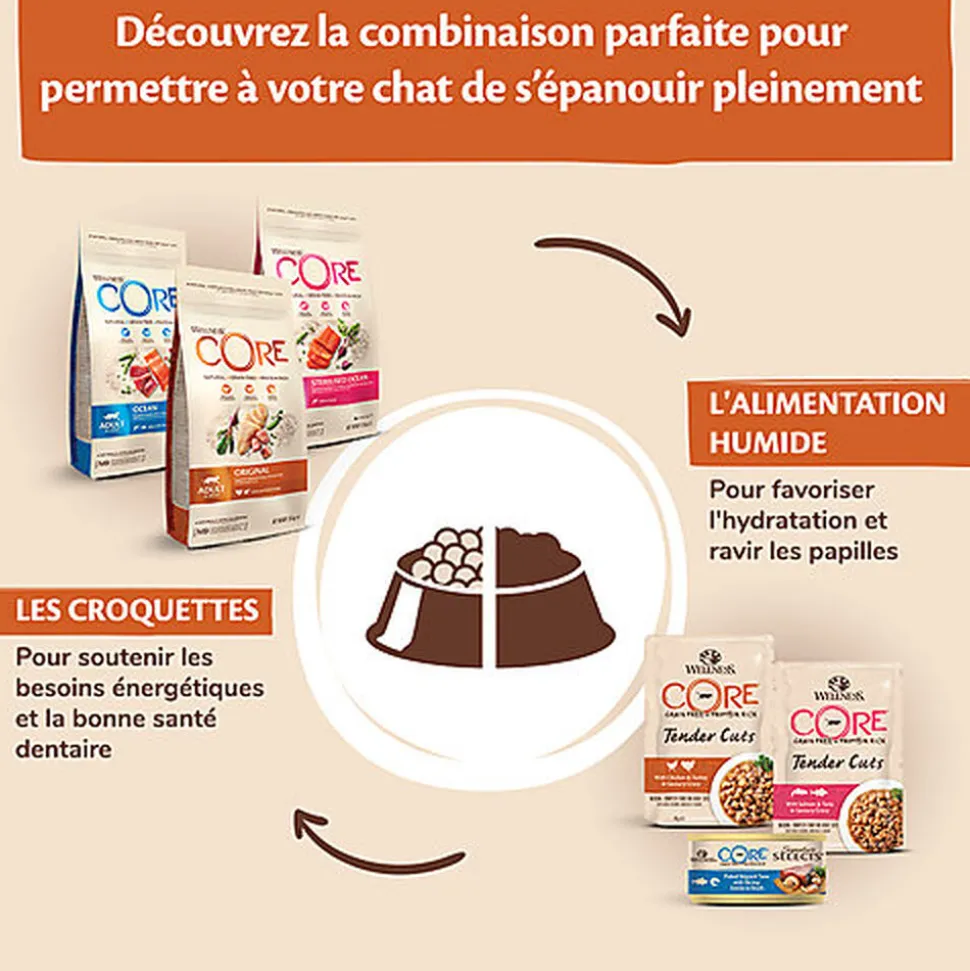 Wellness CORE - Croquettes Kitten Dinde et Poulet pour Chaton - 1,75Kg