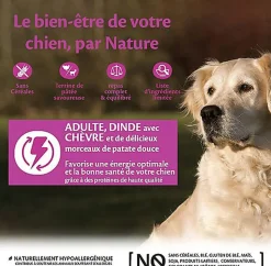 Wellness CORE - Repas Complet 95% de Dinde et Chèvre pour Chien - 400g