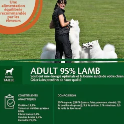 Wellness CORE - Repas Complet 95% d'Agneau pour Chien - 400g