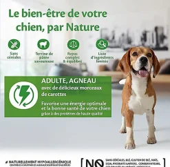 Wellness CORE - Repas Complet 95% d'Agneau pour Chien - 400g