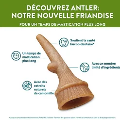 Whimzees - Sachet Antler  - S 24 Pcs