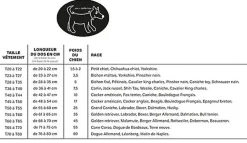 Wouapy - Imper Economic Camel