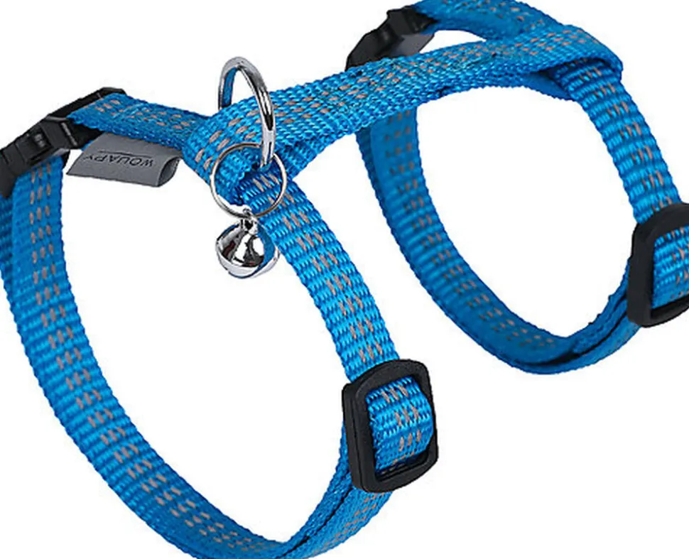 Wouapy - Kit Protect Harnais Laisse et Collier pour Chatons Bleu