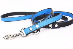 Yogipet - Laisse Ajustable pour Chien Bleu