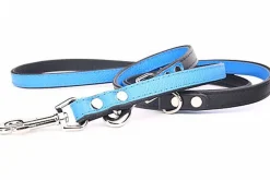 Yogipet - Laisse Ajustable pour Chien Bleu