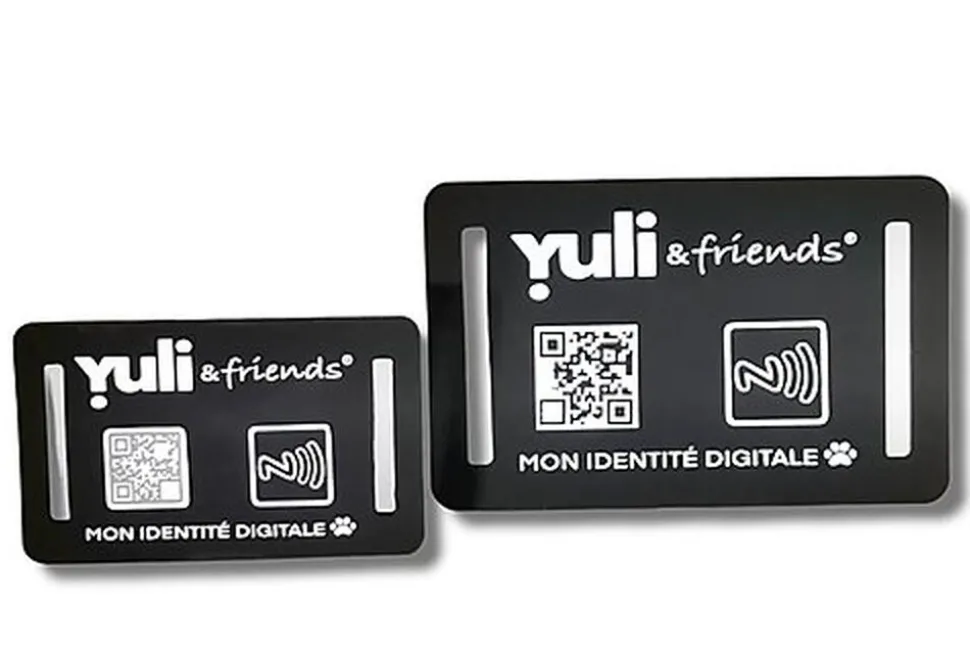 Yuli - Médaille d’identification instantanée pour animaux - Silicone large 67 x 42 mm