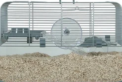 Zolux - Cage Panas Gris pour Rongeurs - 50cm