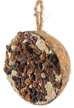 Zolux - Demi noix de coco avec graisse et raisins - 200g