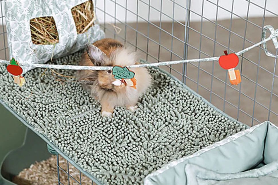 ZOLUX - HABITAT MODULABLE NEOPARK LAPIN - 140X105X70