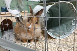 ZOLUX - HABITAT MODULABLE NEOPARK LAPIN - 140X105X70