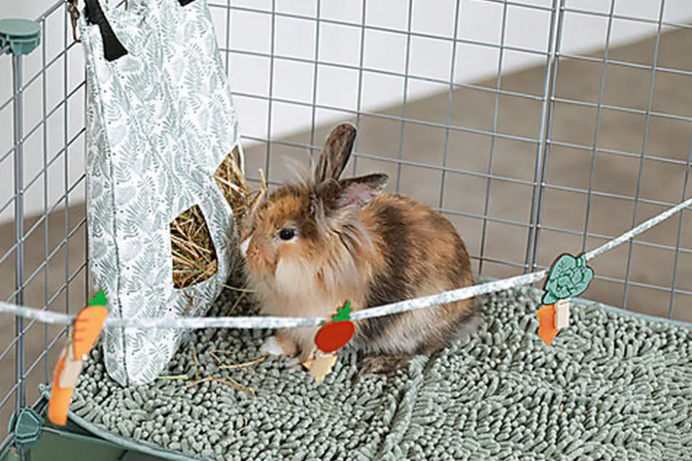 ZOLUX - HABITAT MODULABLE NEOPARK LAPIN - 140X105X70