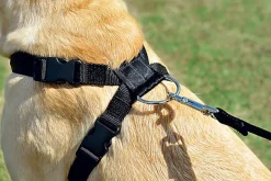 Zolux - Harnais de Sécurité Auto pour Chien