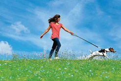 Zolux - Harnais de Sécurité Auto pour Chien