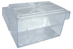 Zolux - Pondoir Flottant pour Guppy - 8,5x8,5x17cm