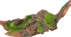 Zolux - Racine Malaisie Naturelle Kipouss pour Aquarium