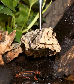 Zoomed - Crochet Téléscopique Snake Hook pour Serpents