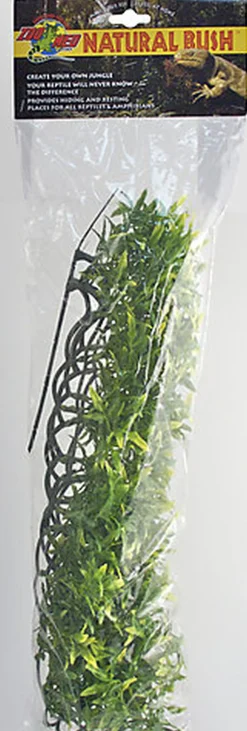 Zoomed - Plante Bolivian pour Terrarium