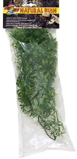 Zoomed - Plante Cannabis pour Terrarium