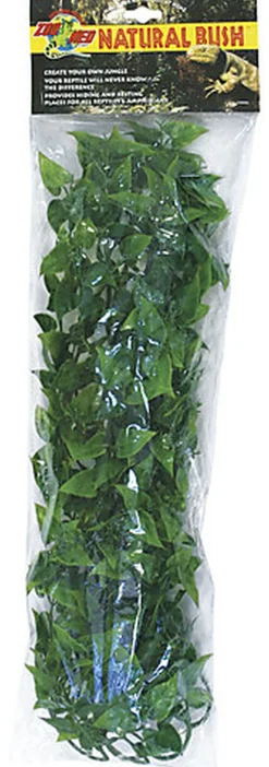 Zoomed - Plante Mexican pour Terrarium