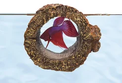 Zoomed - Tronc flottant artificielle pour Betta